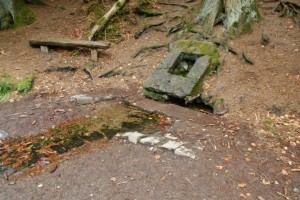 Rothaarsteig Ilsequelle