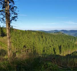 Rothaarsteig - Wandern im Wilden Westen Deutschlands Rothaarsteig