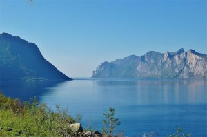 Senja Mefjord