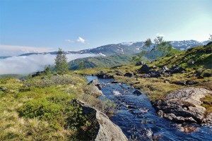 Senja pa langs Fluss