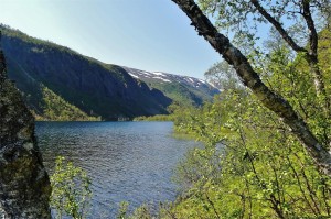 Senja pa langs Heggvatnet