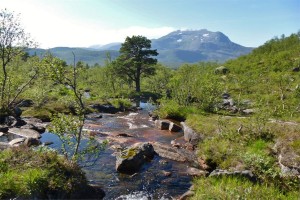Senja pa langs Richtung Storbunkevatnet