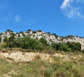 PCT Thruhike 2015: Bald geht es los...! Felsen