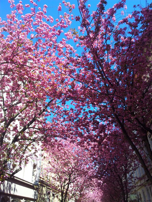 PCT Thruhike: In den Startlöchern IMG 20150419 WA0004