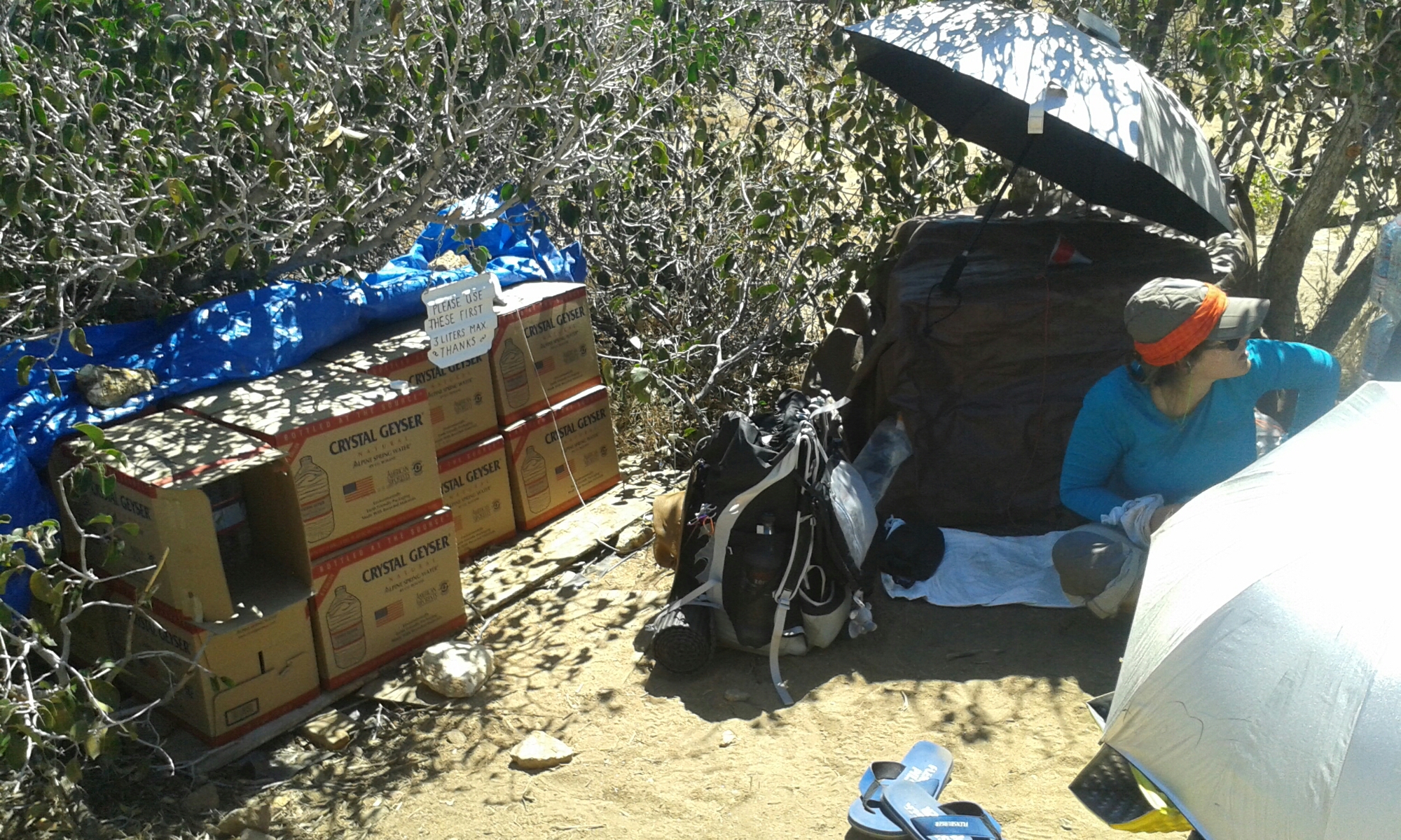 Third Gate Cache image