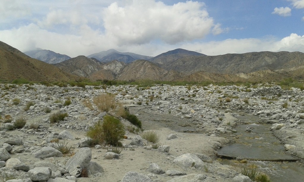 PCT Thruhike 2015: Ziggy and the Bear - Big Bear Lake Wpid 20150508 134816 1024x614
