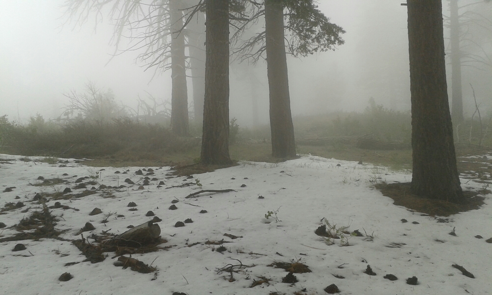 Winterstimmung image