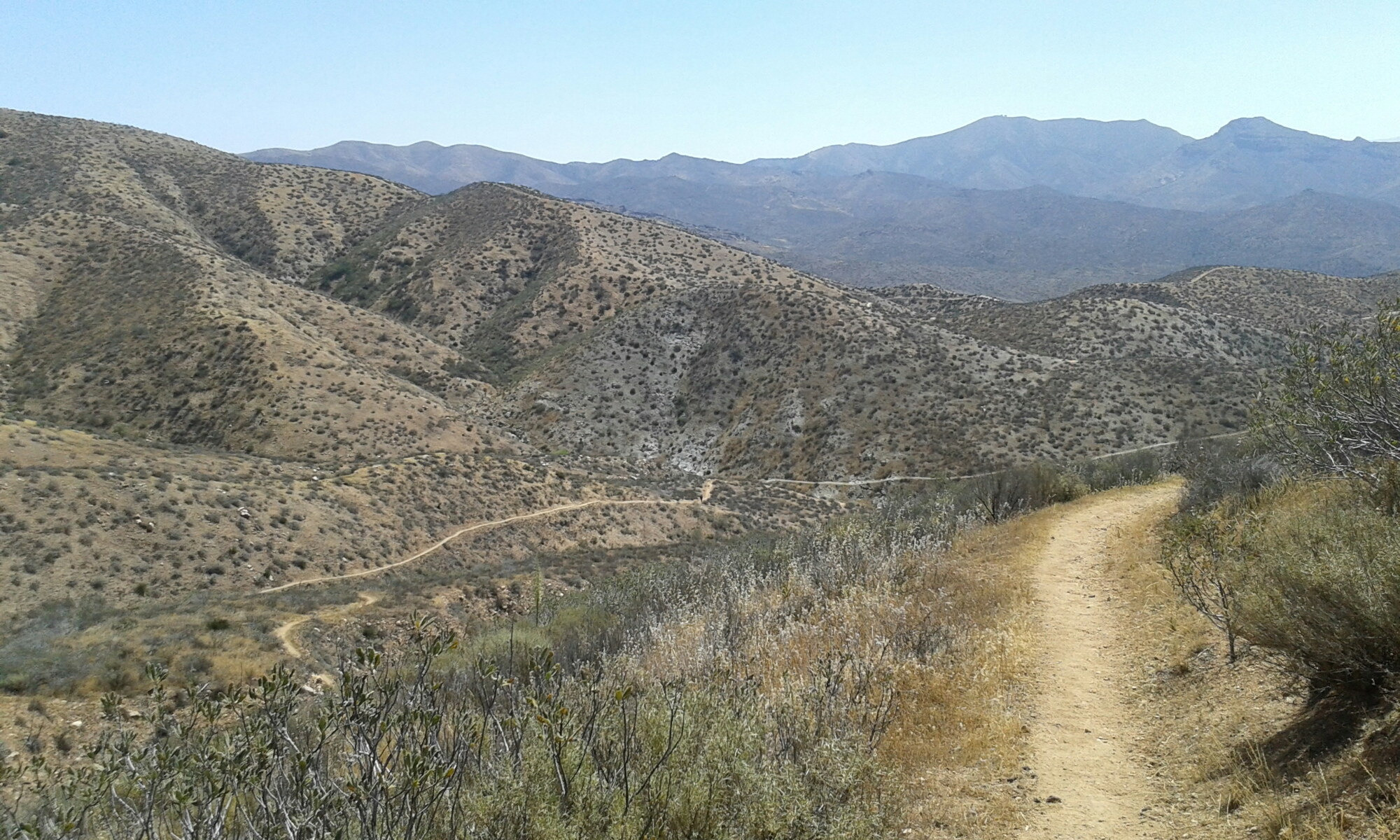 Die Wüste hat uns wieder image