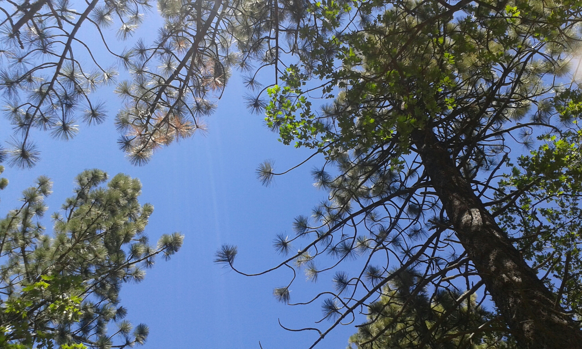 Ab in die Horizonntale image