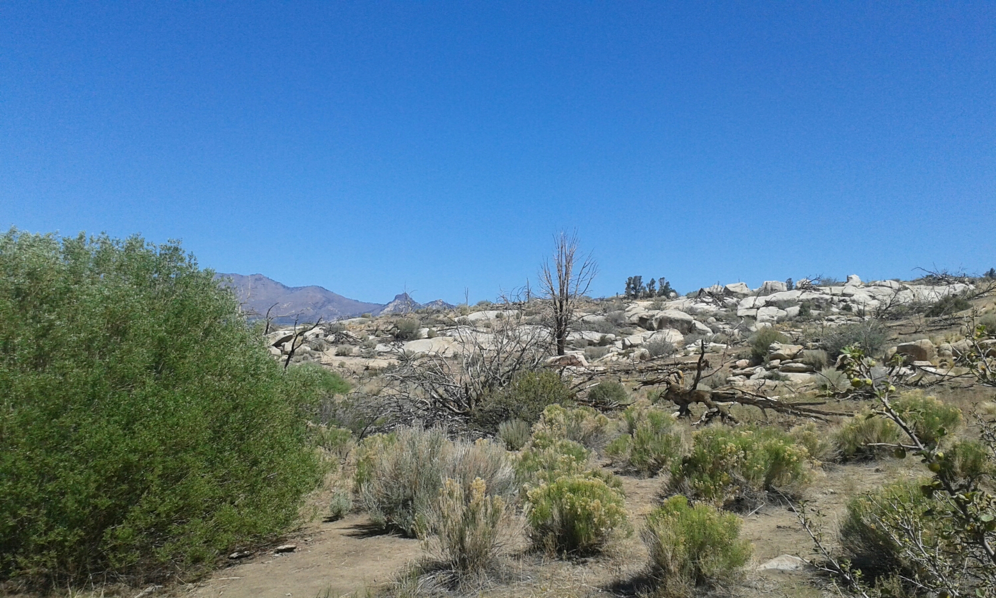 20150608_103702.jpg image