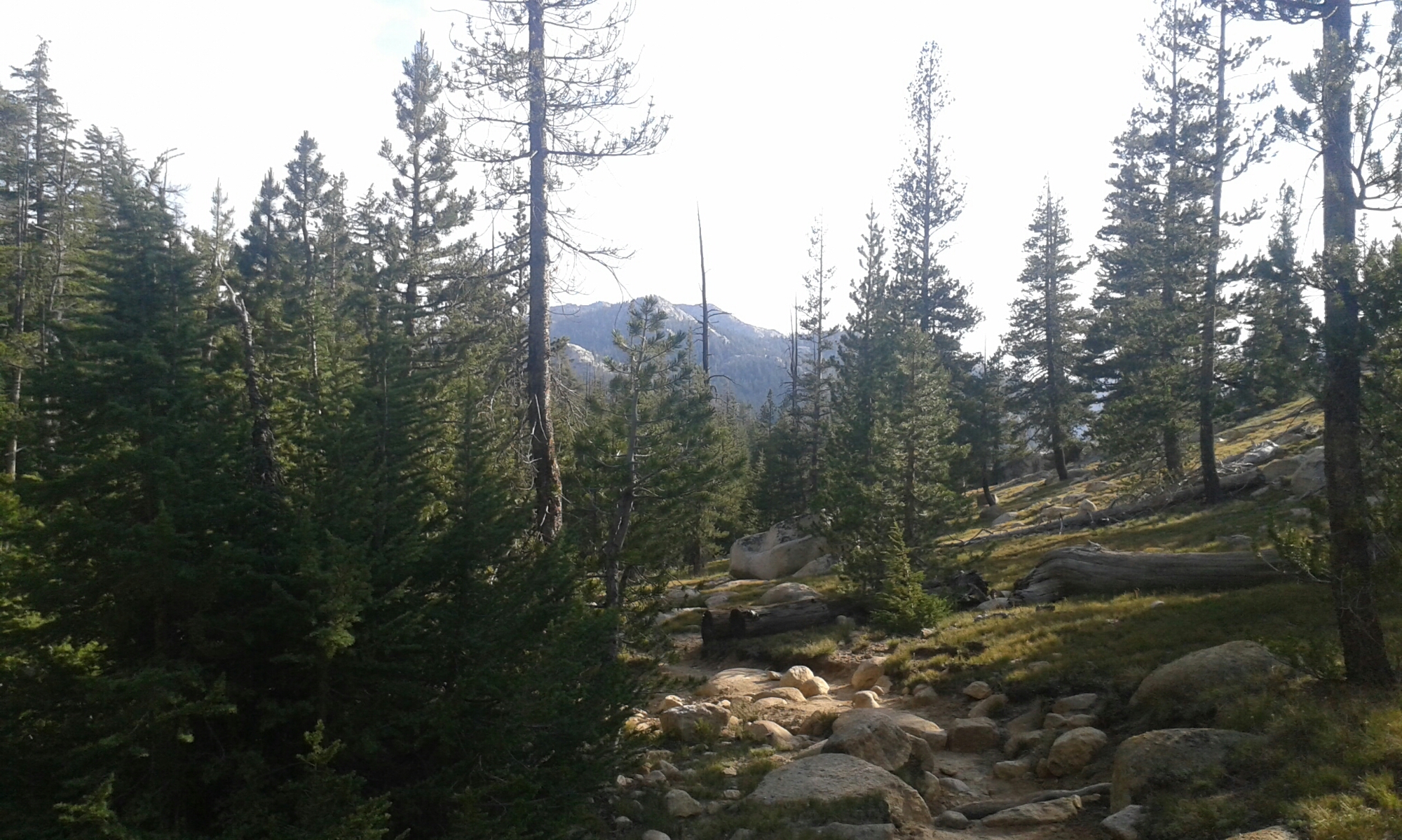 Im Yosemite National Park image