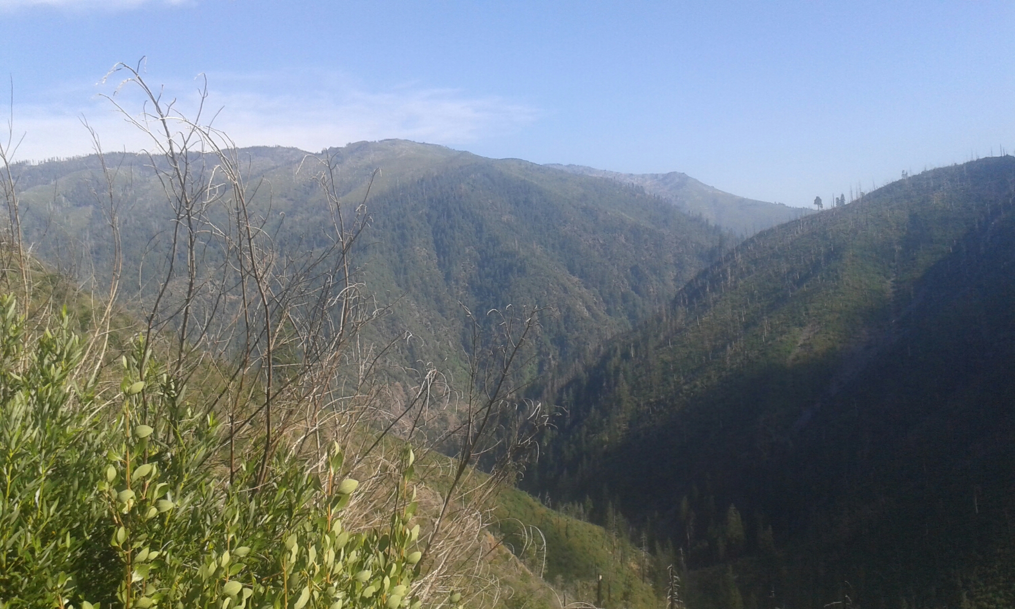 Leaving Belden image