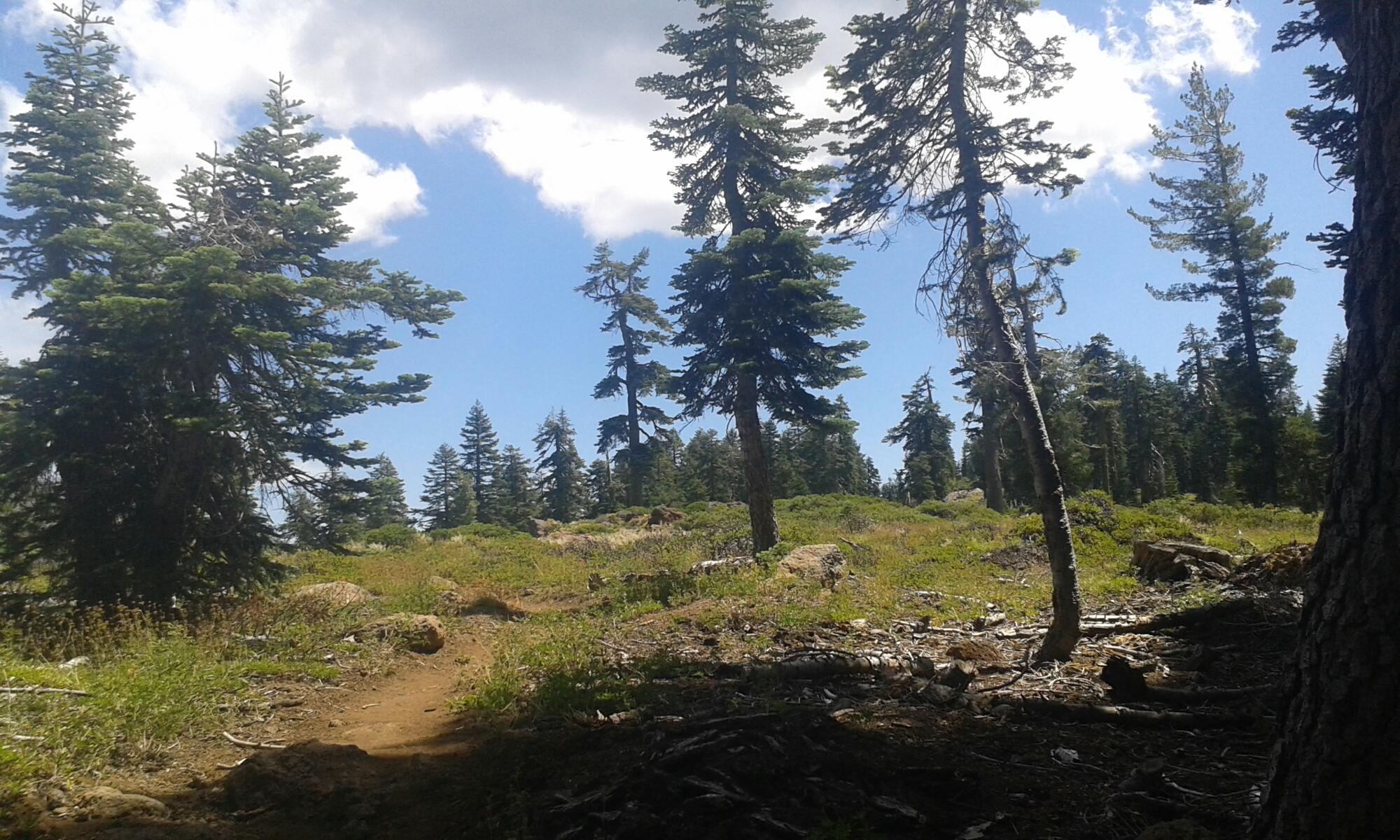 Rasten und nicht fasten image