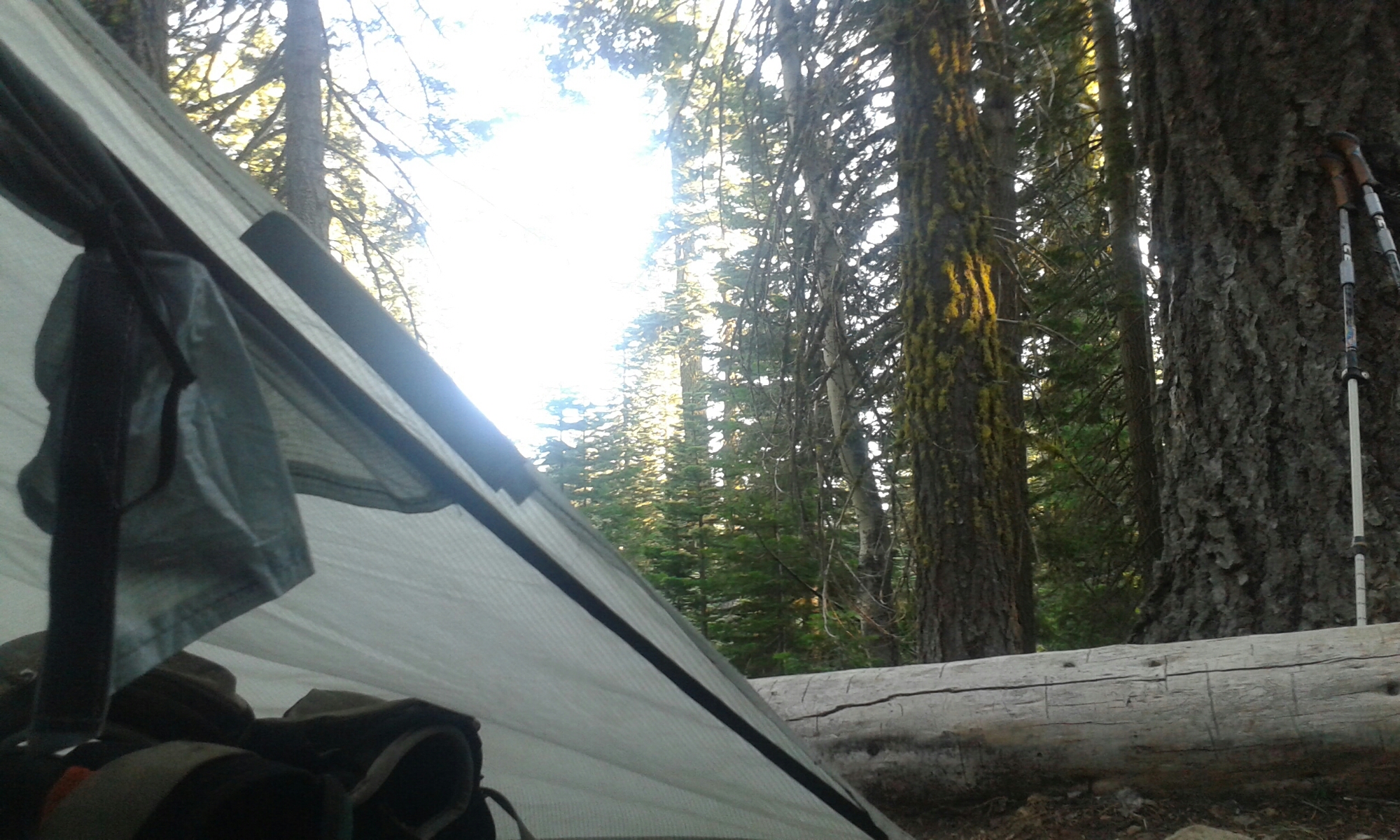 Blick aus dem Zelt image