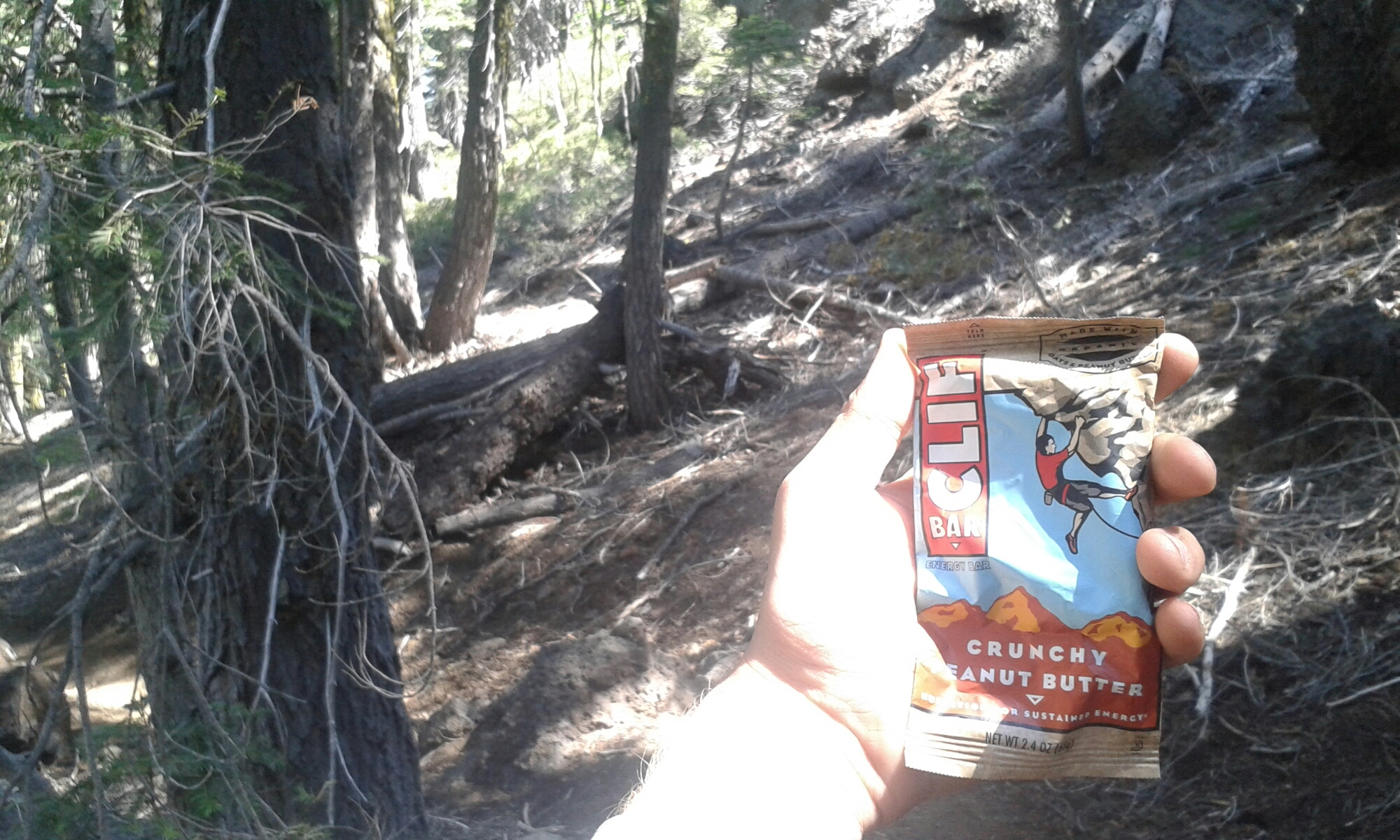 Clif Bar image
