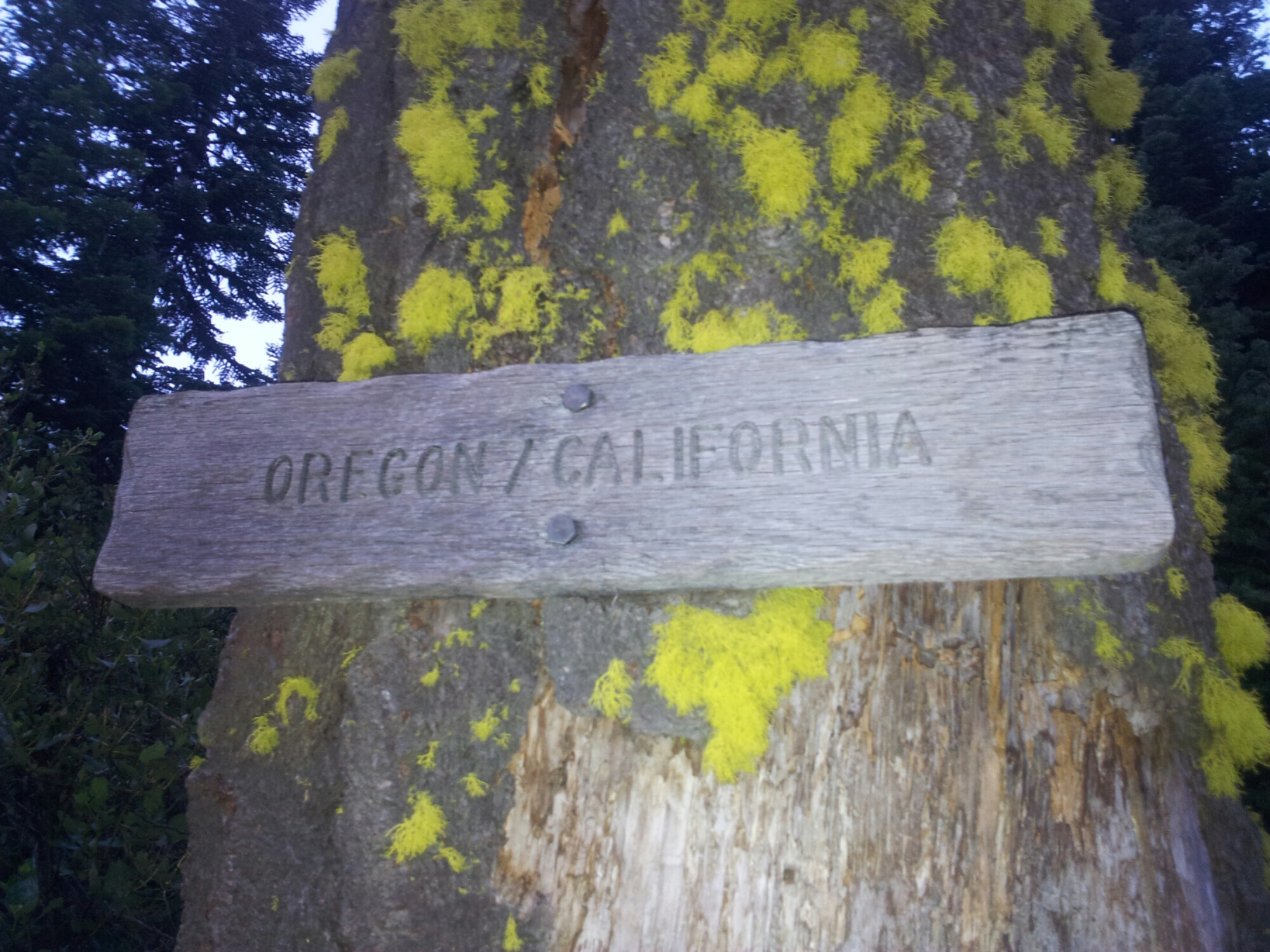 Good Bye CA, hello OR! image