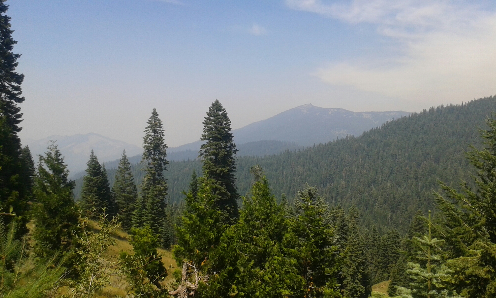 Vor uns liegt Oregon! image