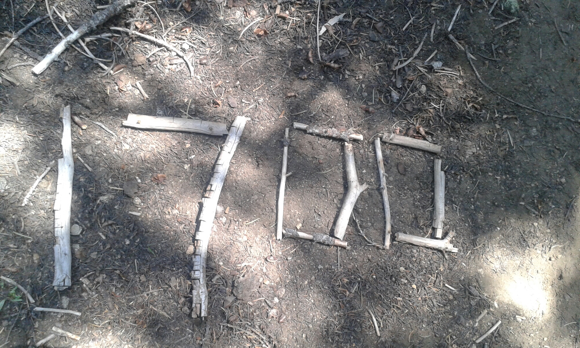 Wieder hundert! image