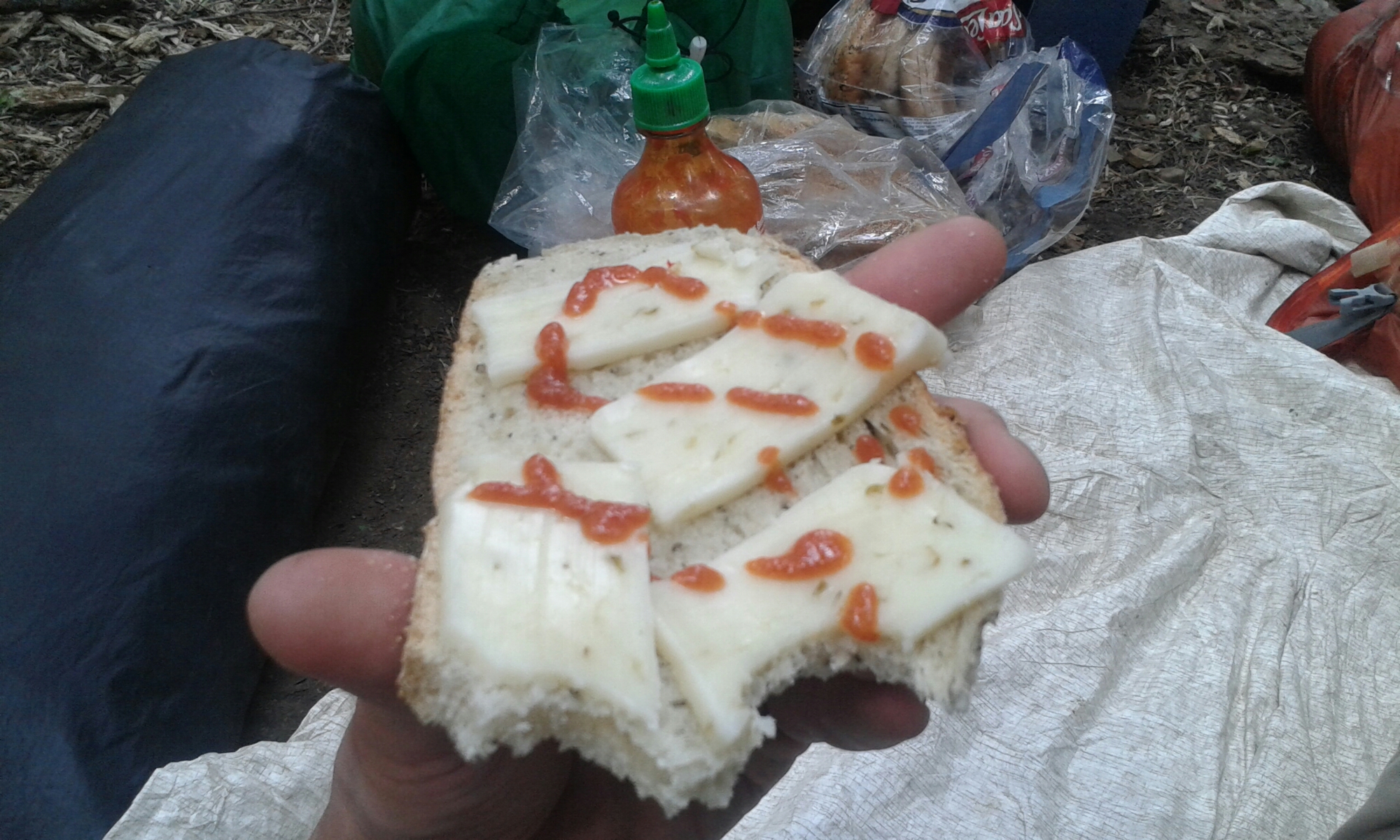 20150811_131639.jpg image