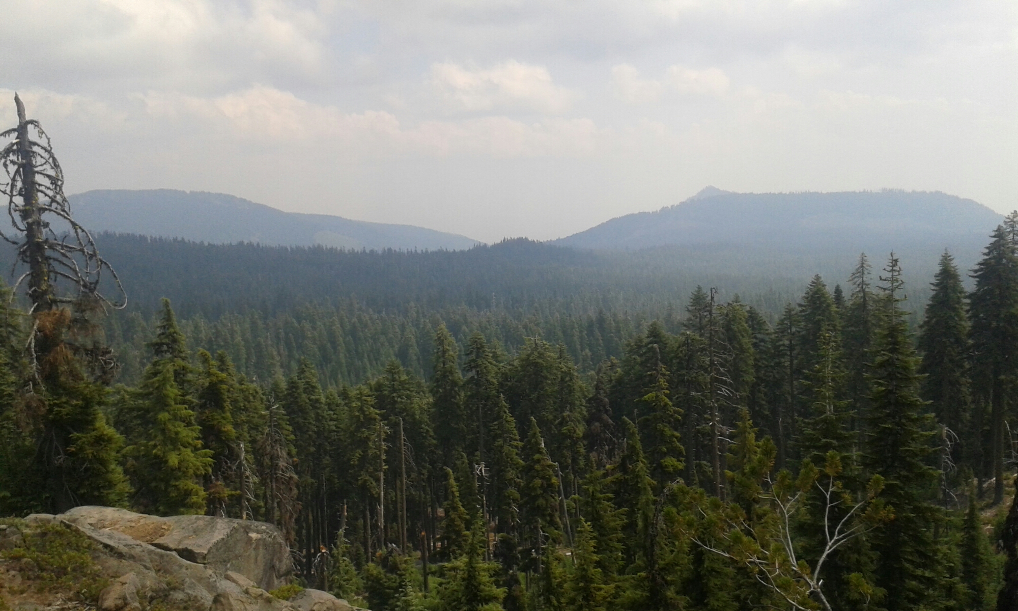 Aussicht über Oregons Wälder image