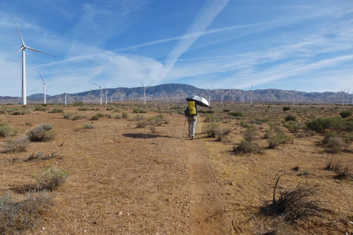 PCT How to: Wie sorge ich für Sicherheit? Mit Schirm durch die sengende Hitze